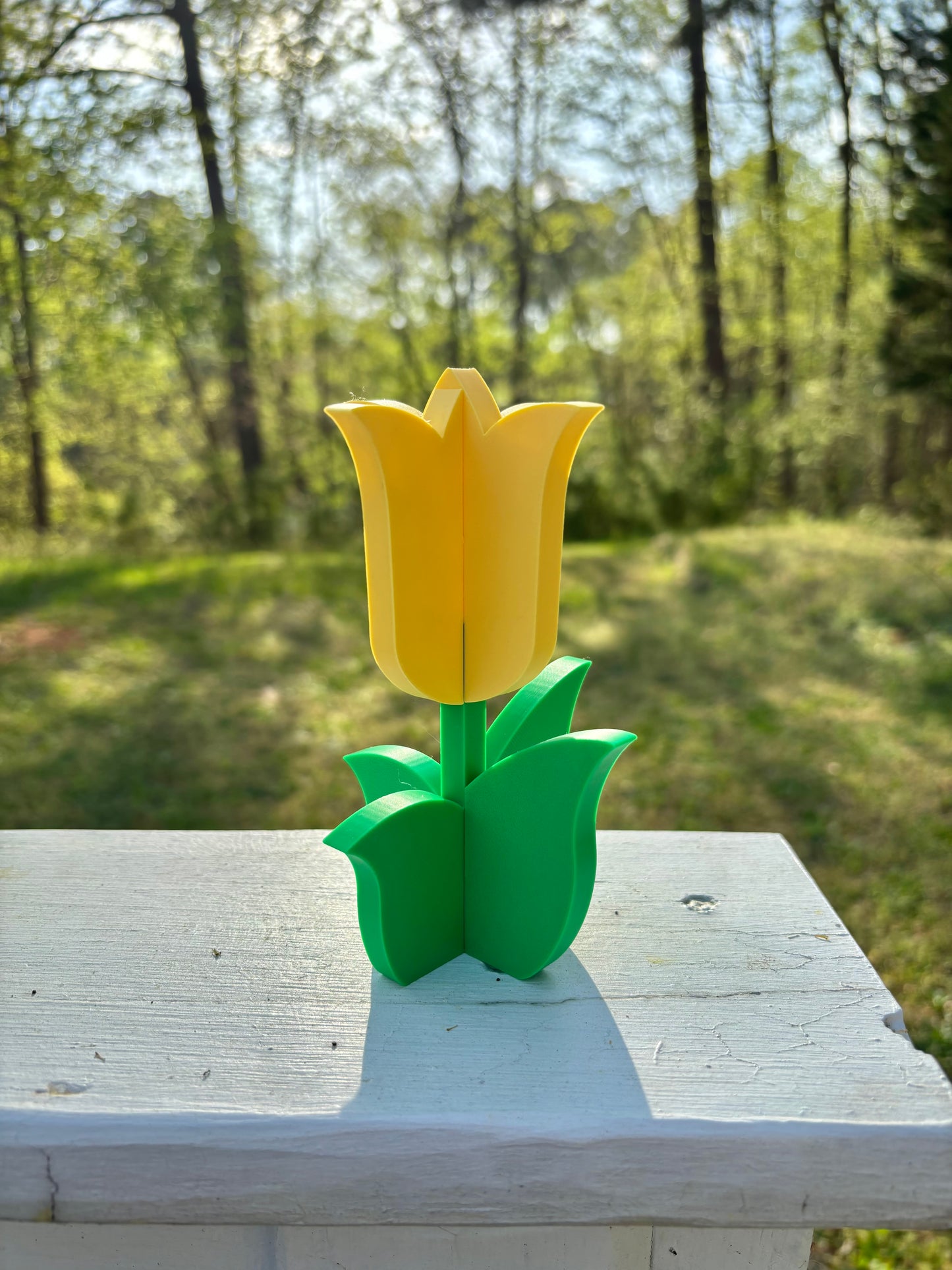 4-Part Tulip Puzzles