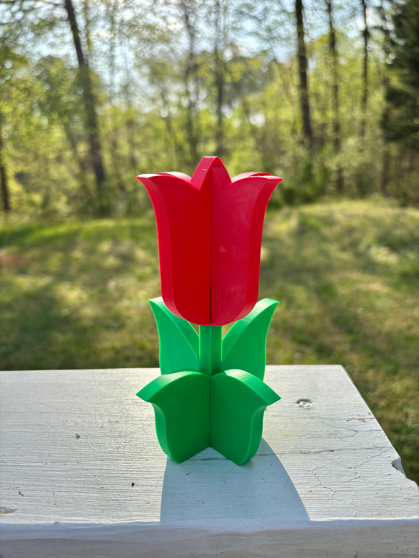 4-Part Tulip Puzzles