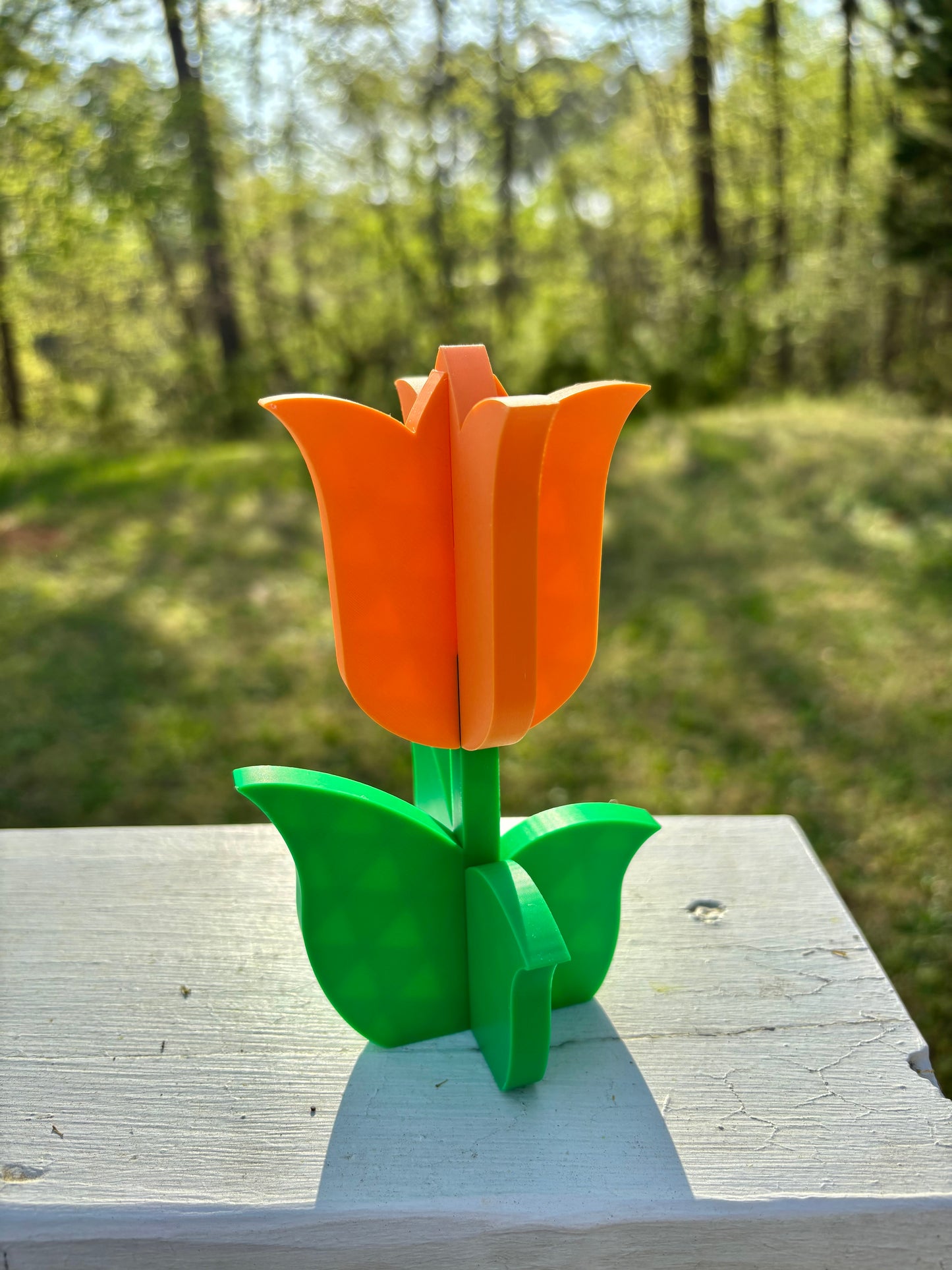 4-Part Tulip Puzzles