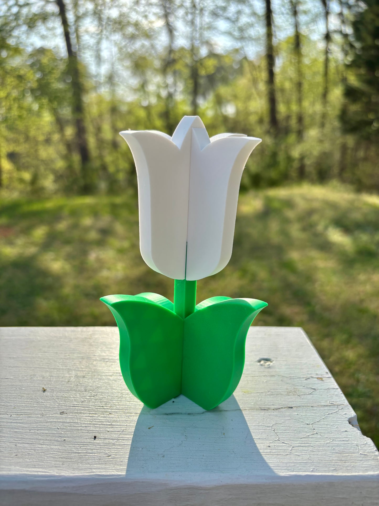 4-Part Tulip Puzzles