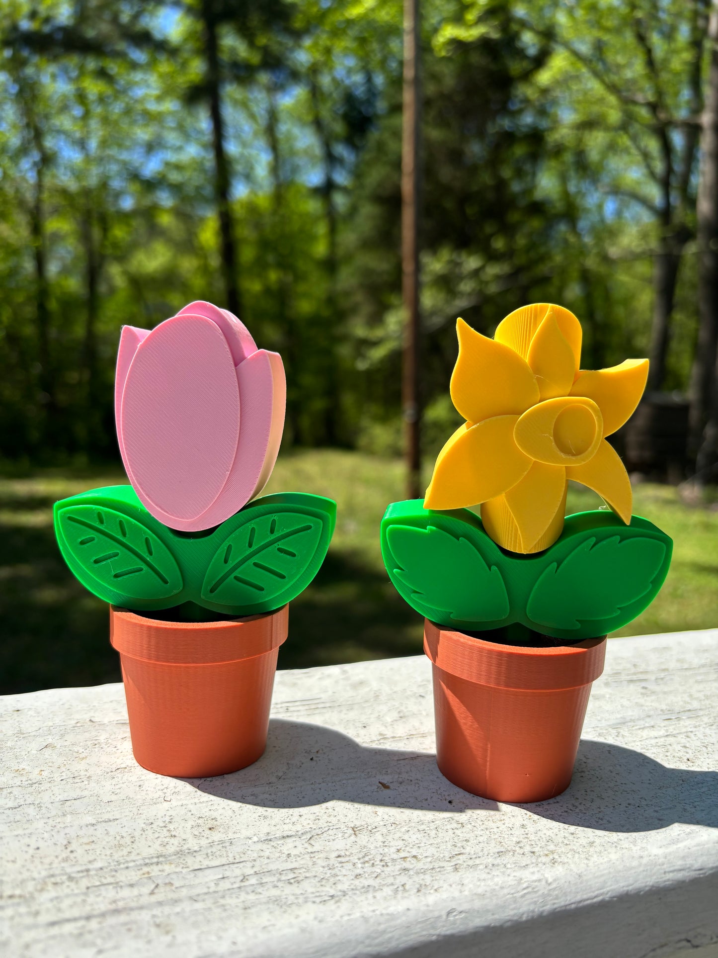 Flower Pot Puzzles