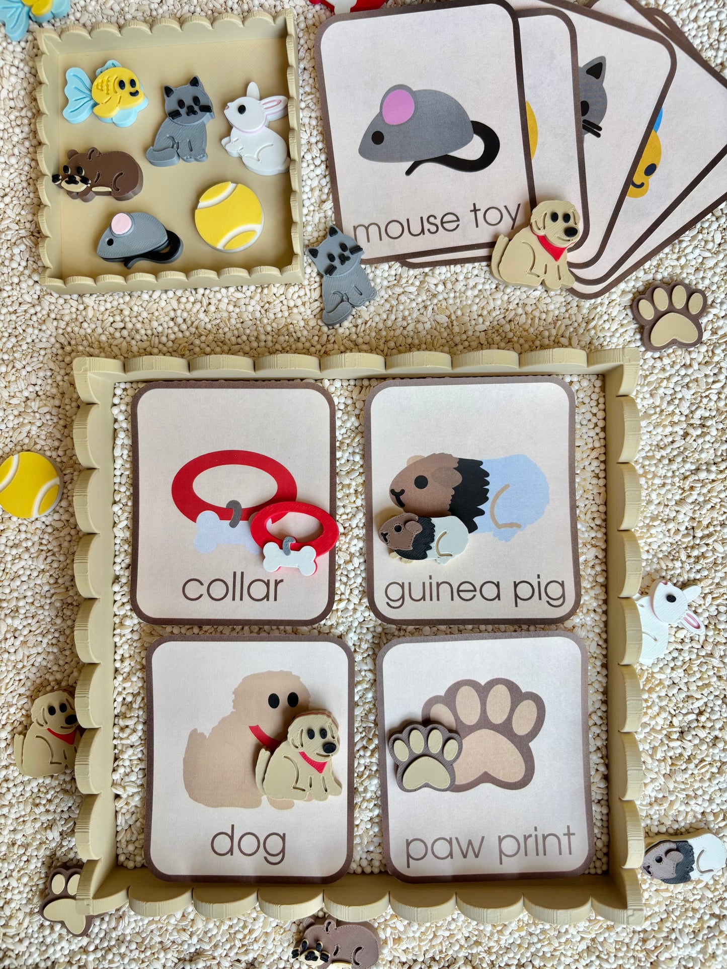 Adopt a Pet Minis