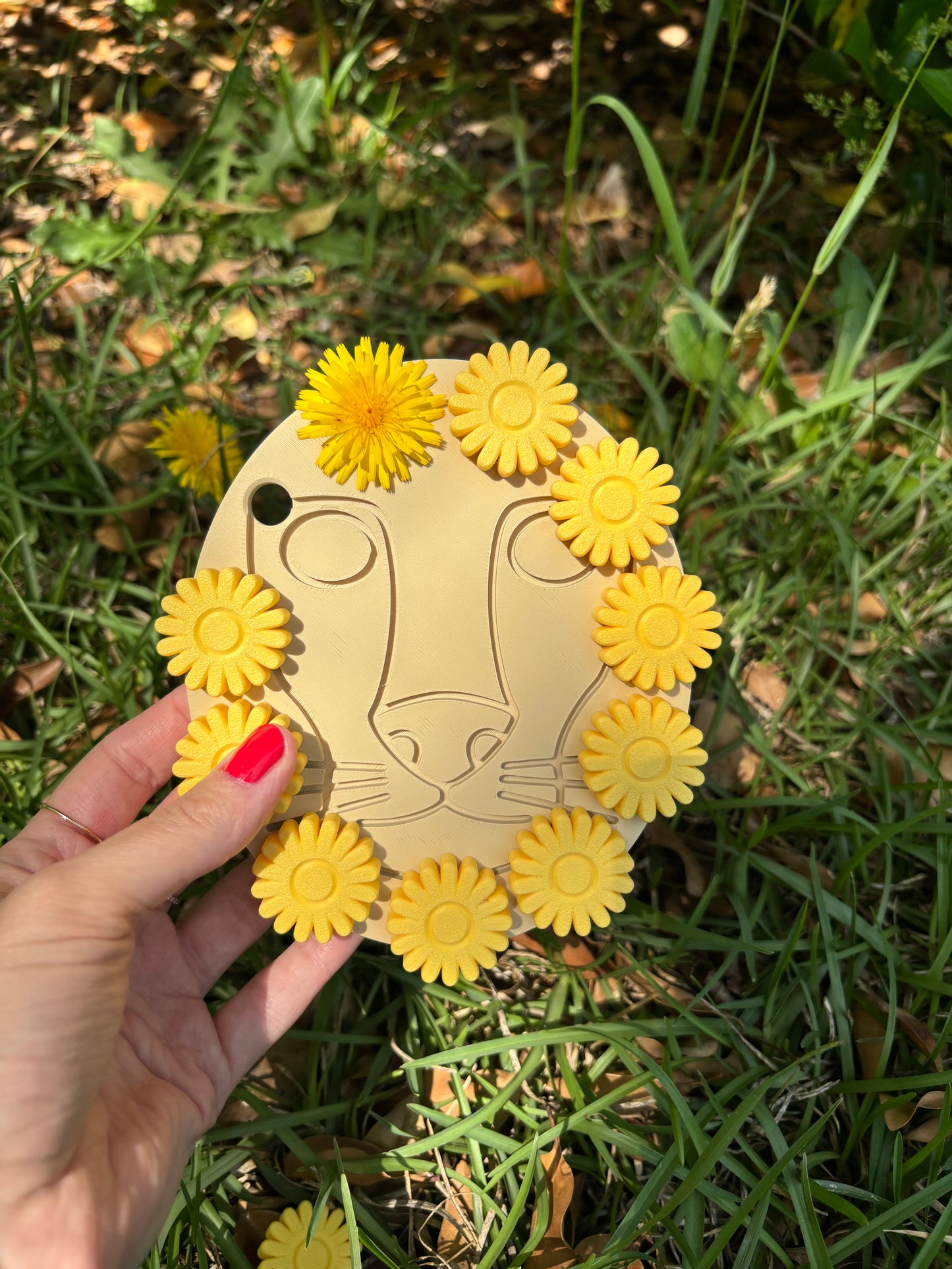 Dande-LION