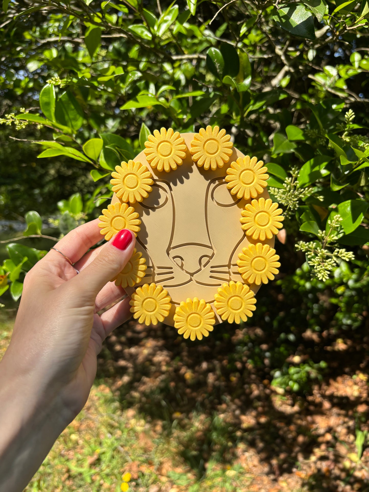Dande-LION