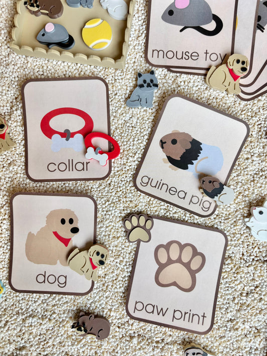 Adopt a Pet Minis