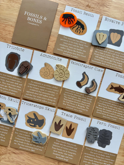 A Day at the Museum Advent Calendar *PRE-ORDER*