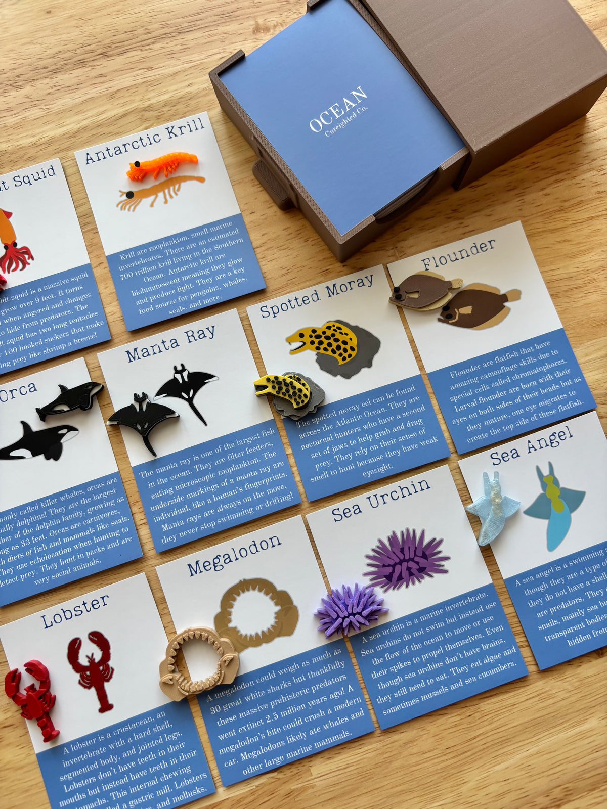 A Day at the Museum Advent Calendar *PRE-ORDER*