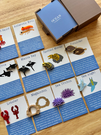 A Day at the Museum Advent Calendar *PRE-ORDER*