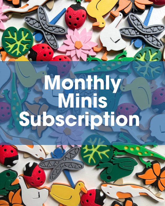 Monthly Minis Subscription